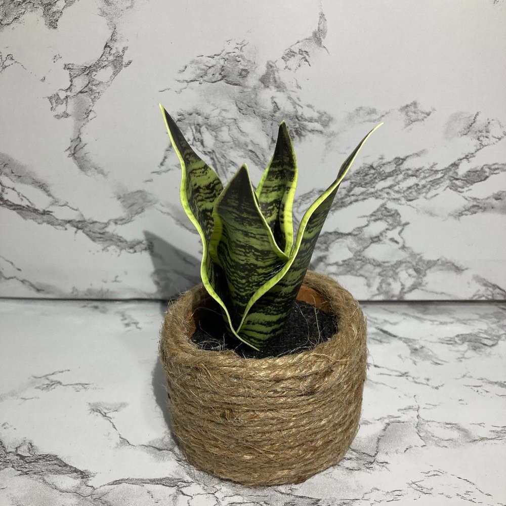 Handamade Wooden Flower Bouquet Room Decor